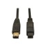 TrippLite 6ft IEEE 1394b FireWire 800 Gold Cable F017-006
